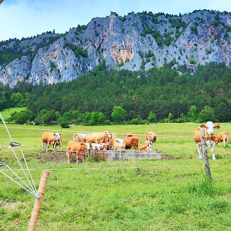 Готель Glamping Hohe Wand - Zelt Mit Sternenfenster Und Whirlpool Maiersdorf Екстер'єр фото