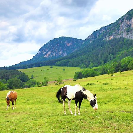 Готель Glamping Hohe Wand - Zelt Mit Sternenfenster Und Whirlpool Maiersdorf Екстер'єр фото